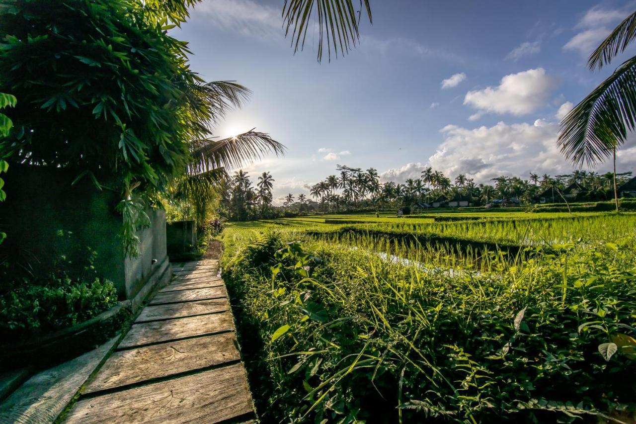 Villa Natha อูบุด ภายนอก รูปภาพ